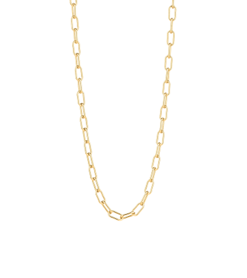 Anchor Chain long