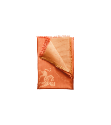 Pashmina Double Face Pure Joy