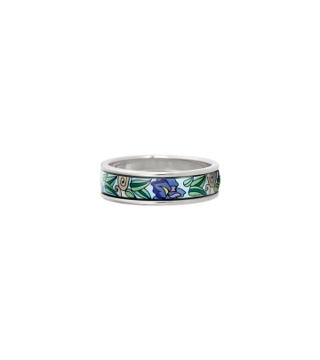 Ring Ultra