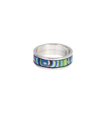 Ring Ultra