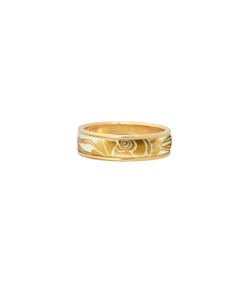 Ring Ultra