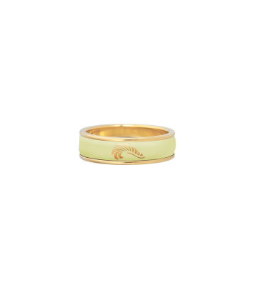 Ring Ultra