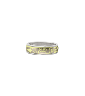 Ring Ultra