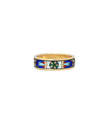 Ring Ultra