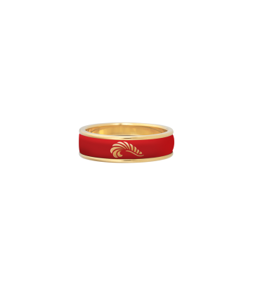 Ring Ultra