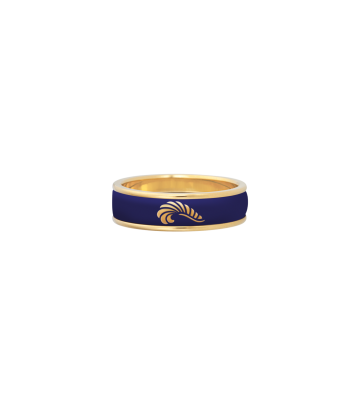 Ring Ultra