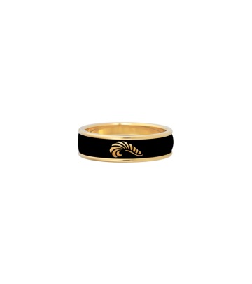 Ring Ultra
